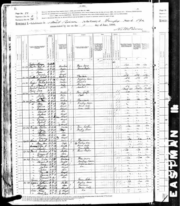 1880 Federal Census, Inhabitants in Mount Vernon Township, County of Fairfax, Virginia