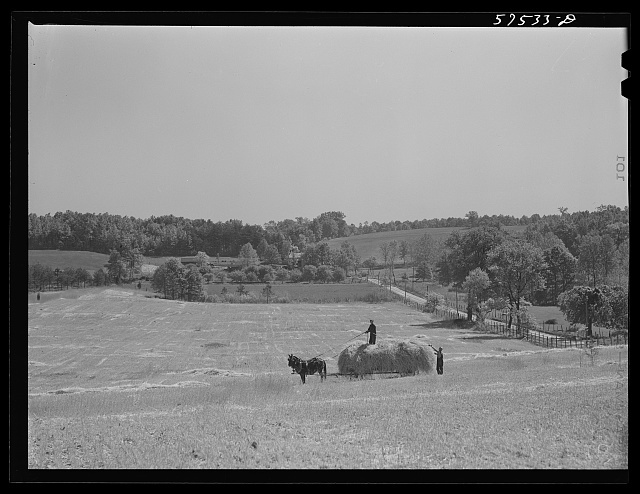Farmer working on a field in Vienna, Virginia circa 1941.