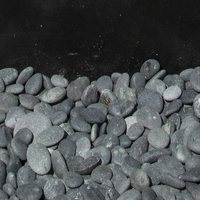 Penny's Stones