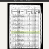 Louisa Ferguson 1870 Census Record